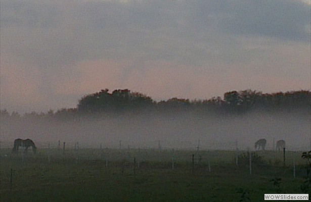 2012-10-30 17.14.53