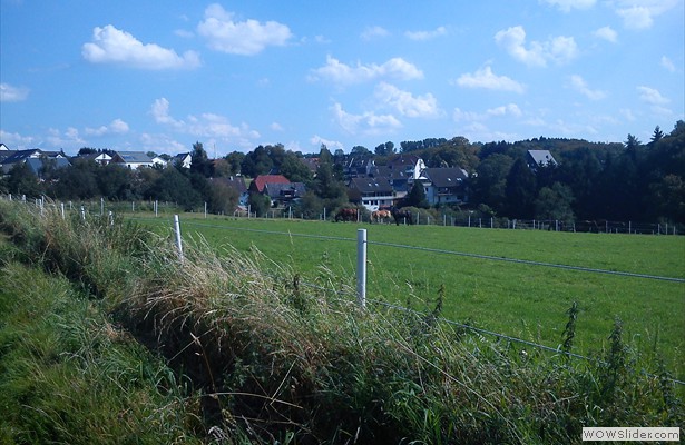 DSC00012 (2)