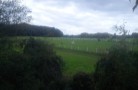 DSC00066 (2)