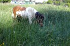 DSC00080