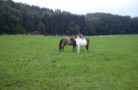 DSC00081 (2)
