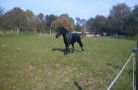 DSC00148 (2)
