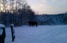 P181210_09.02